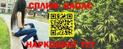 индика Нарткала