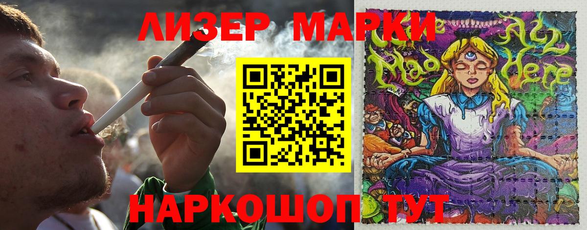 Сокол  Марки N-bome 1,5мг  Вход с VPN 