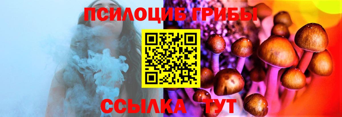 Галлюциногенные грибы MAGIC MUSHROOMS Сокол